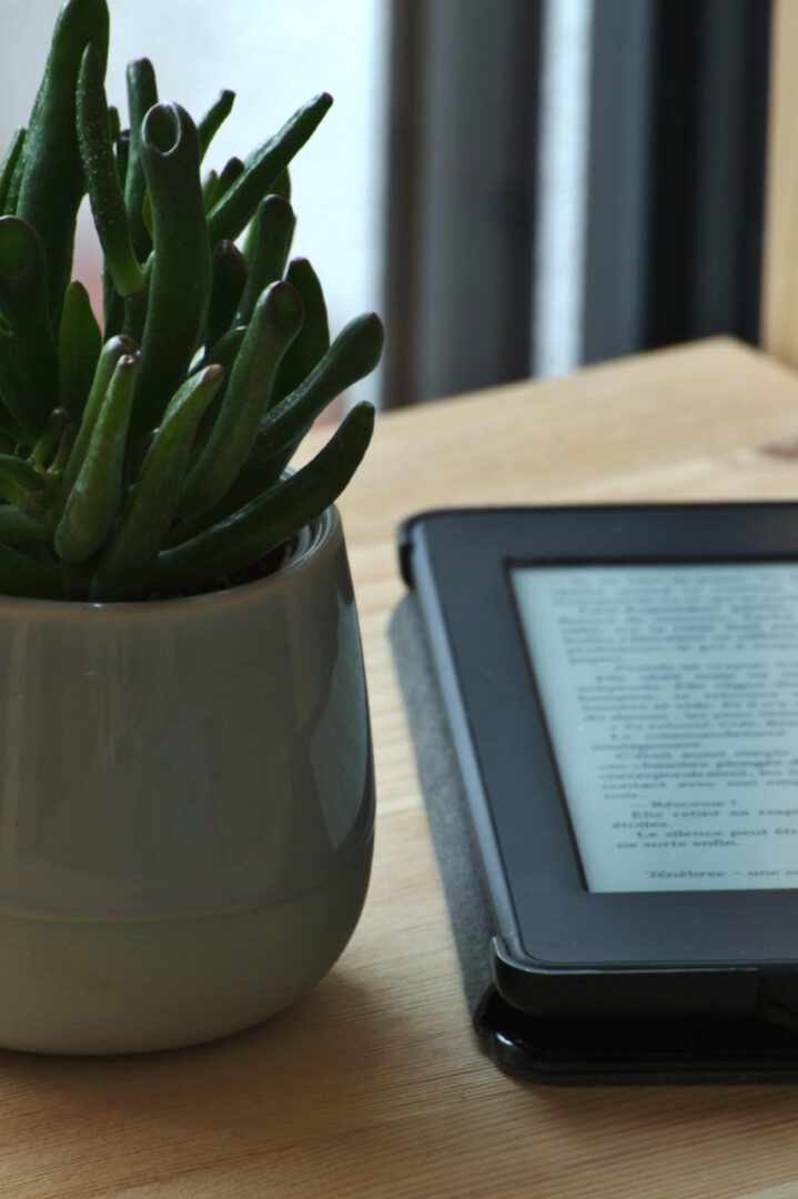 Prawa autorskie ebooka i audiobooka