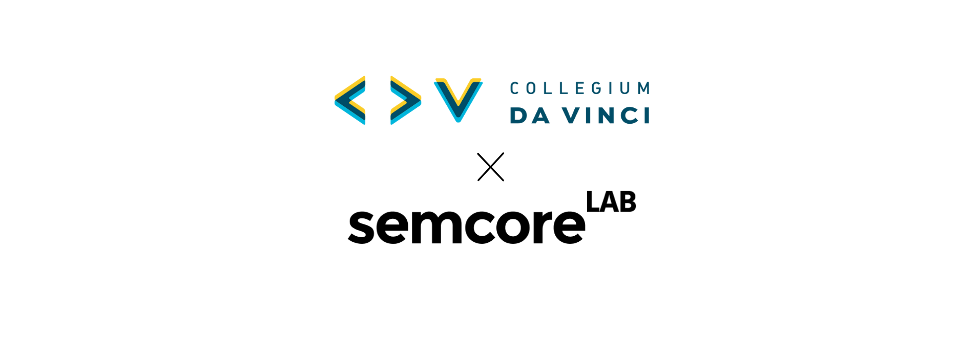 Forest with Path Wide Presentation (20)