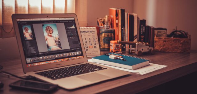 Reklama firmy ogrodniczej w Internecie – poradnik