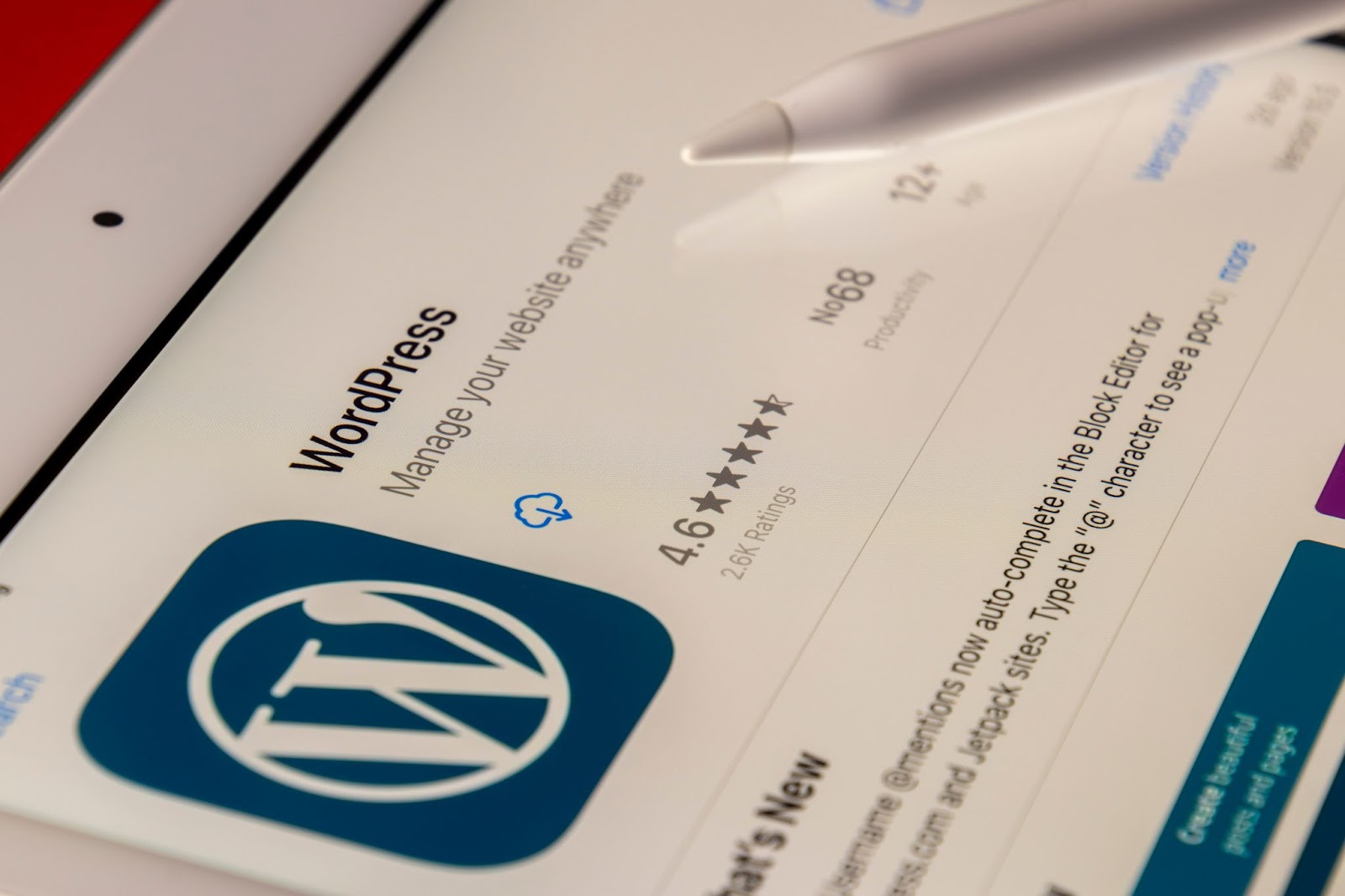 Jak zainstalować WordPress? Poradnik krok po kroku