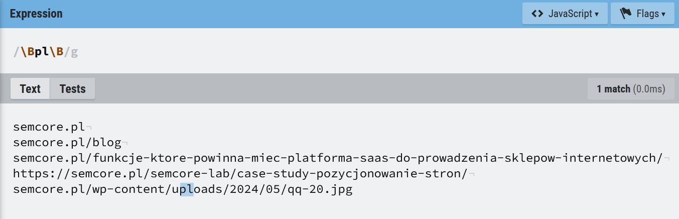 Czym są wyrażenia regularne Regex? Poradnik od podstaw i przykłady zastosowania w SEO