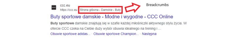 Rich snippets – jak wyglądają?