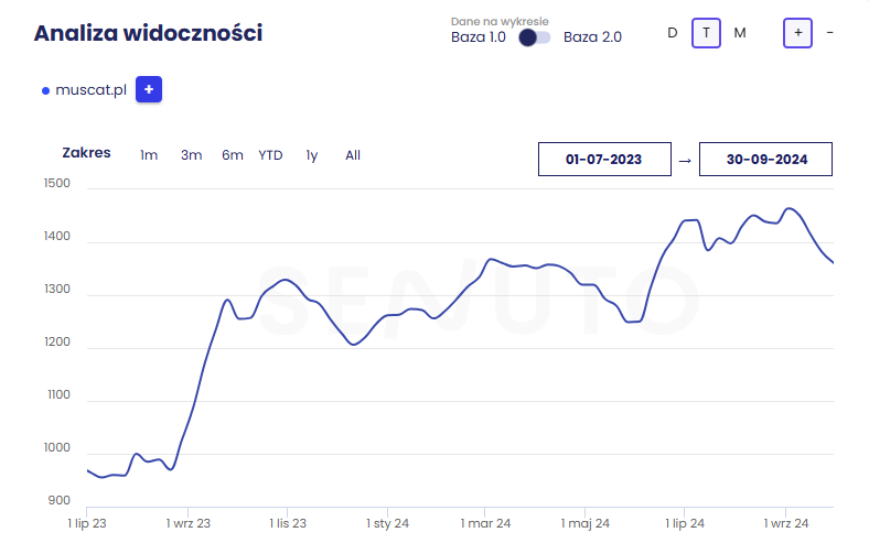 Case study – Co naprawdę działa w SEO?