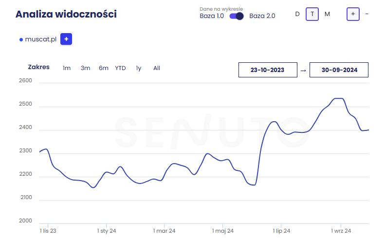 Case study – Co naprawdę działa w SEO?