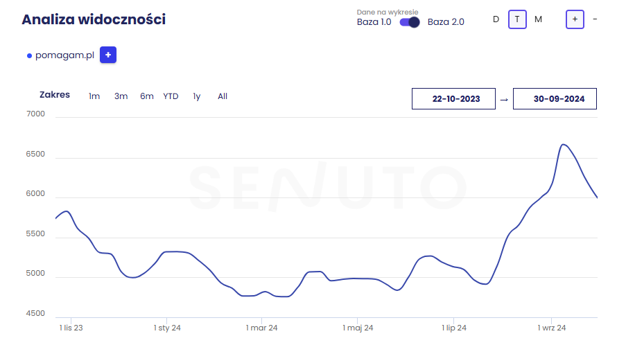 Case study – Co naprawdę działa w SEO?