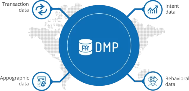 DMP (Data Management Platform)