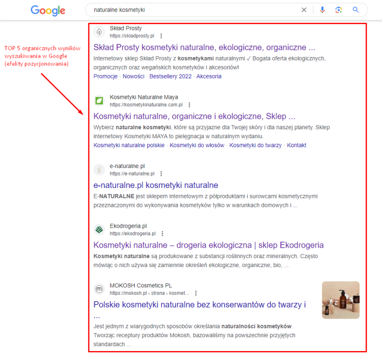 Jak pozycjonować stronę samemu? Poradnik SEO