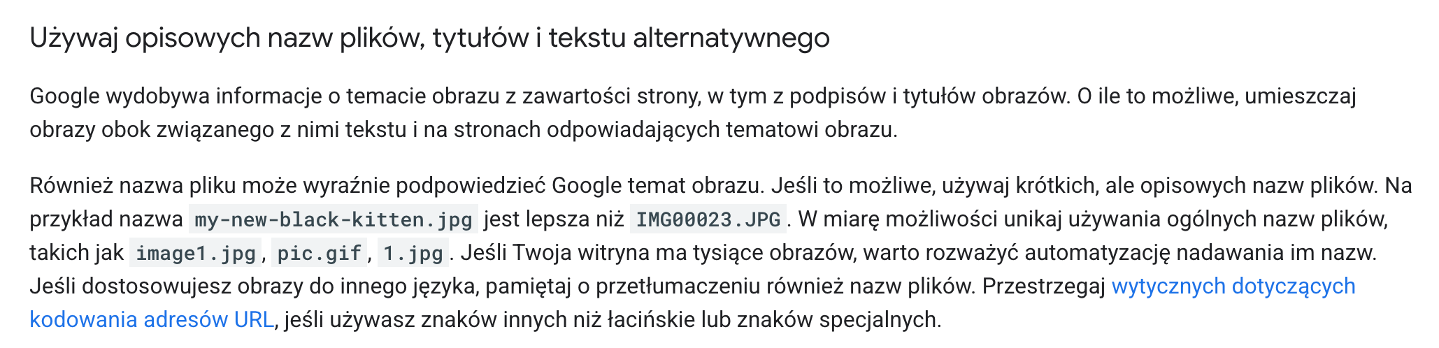 Optymalizacja zdjęć zgodnie z zasadami SEO