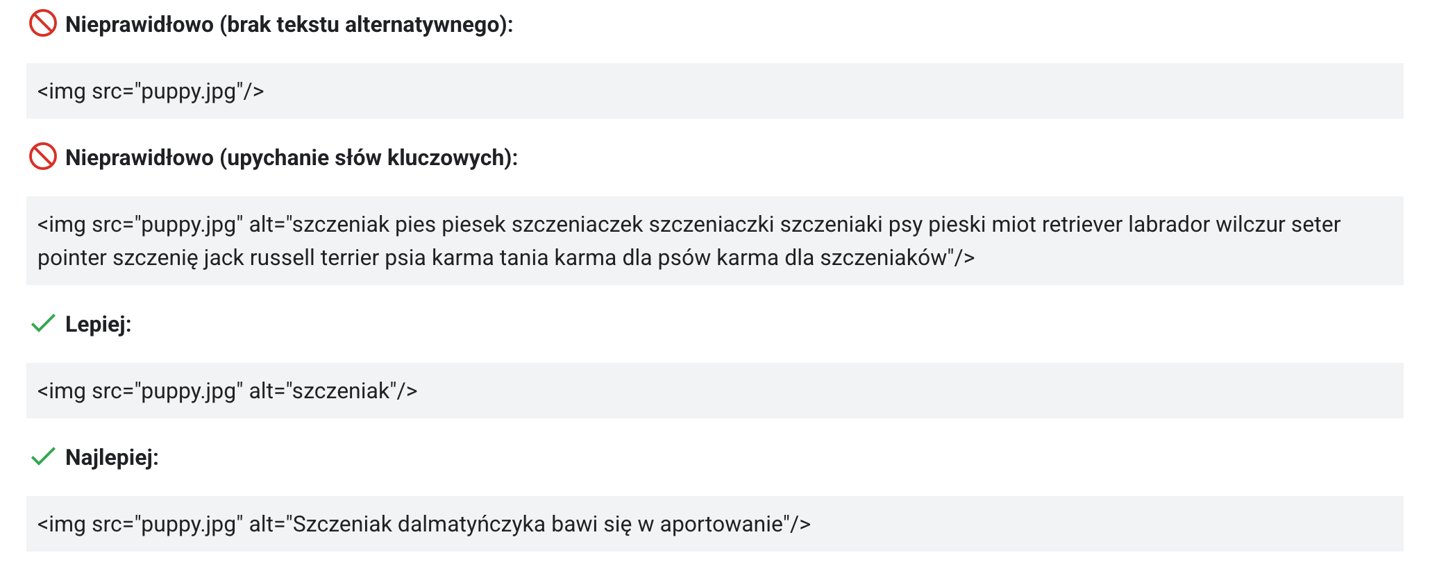 Optymalizacja zdjęć zgodnie z zasadami SEO