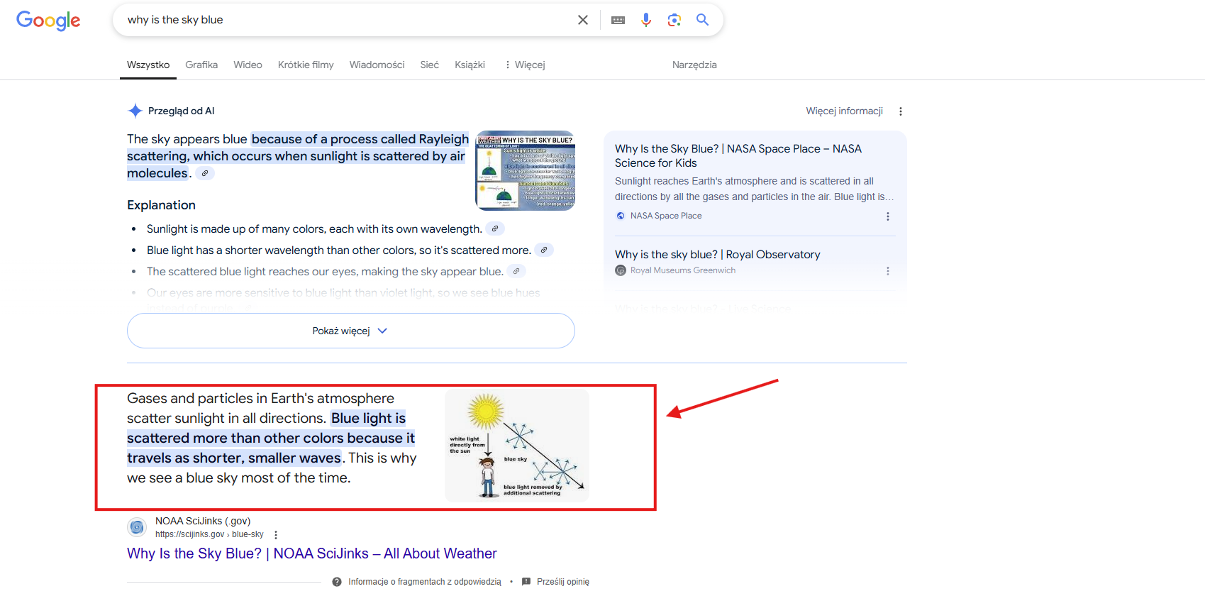 Po wpisaniu w Google hasła „sikorka modra” w pierwszej kolejności wyświetlają się zdjęcia odpowiadające zapytaniu