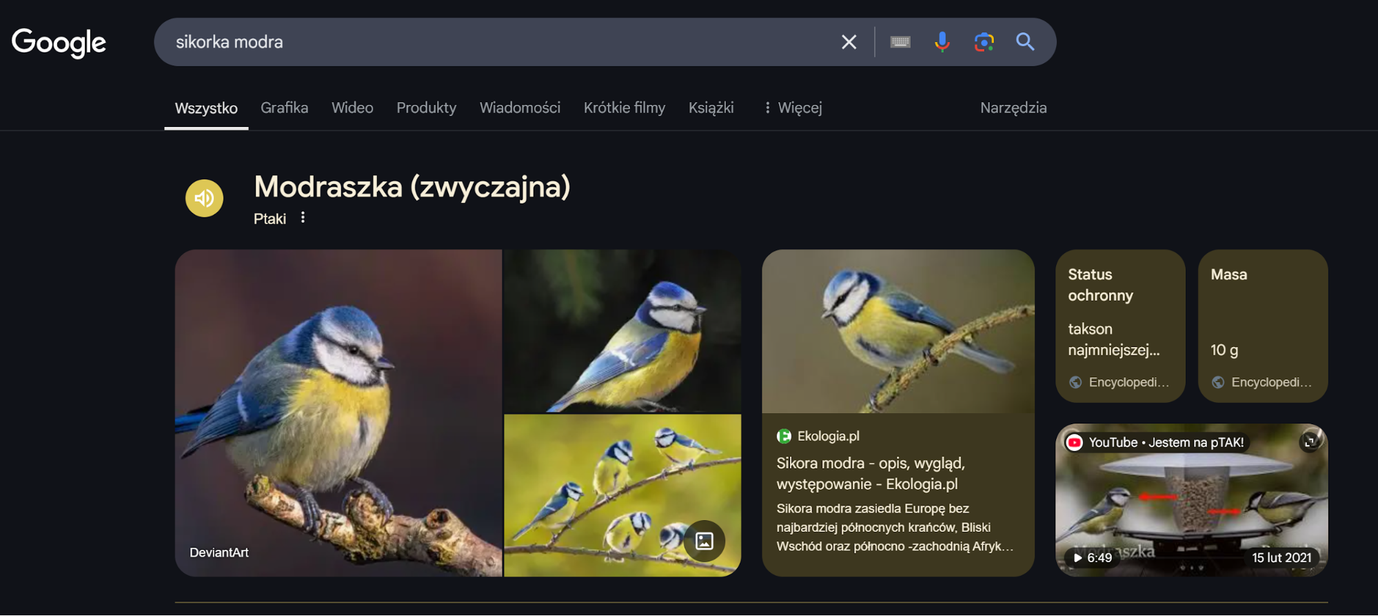 Przykładowe featured snippets dla frazy „why is the sky blue”.