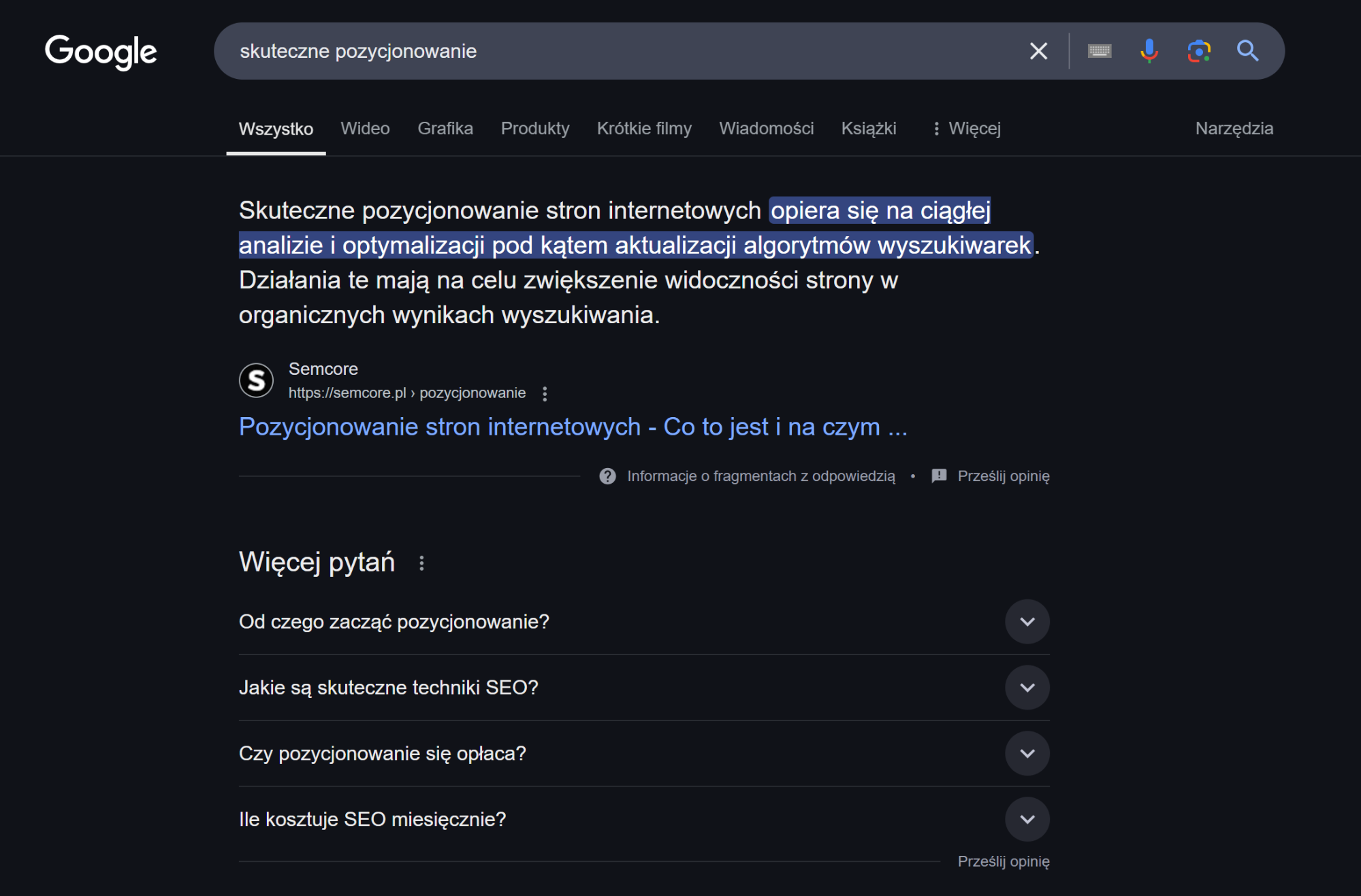Przykładowe wyniki SERP dla frazy „skuteczne pozycjonowanie”, dostęp 23.03.2025