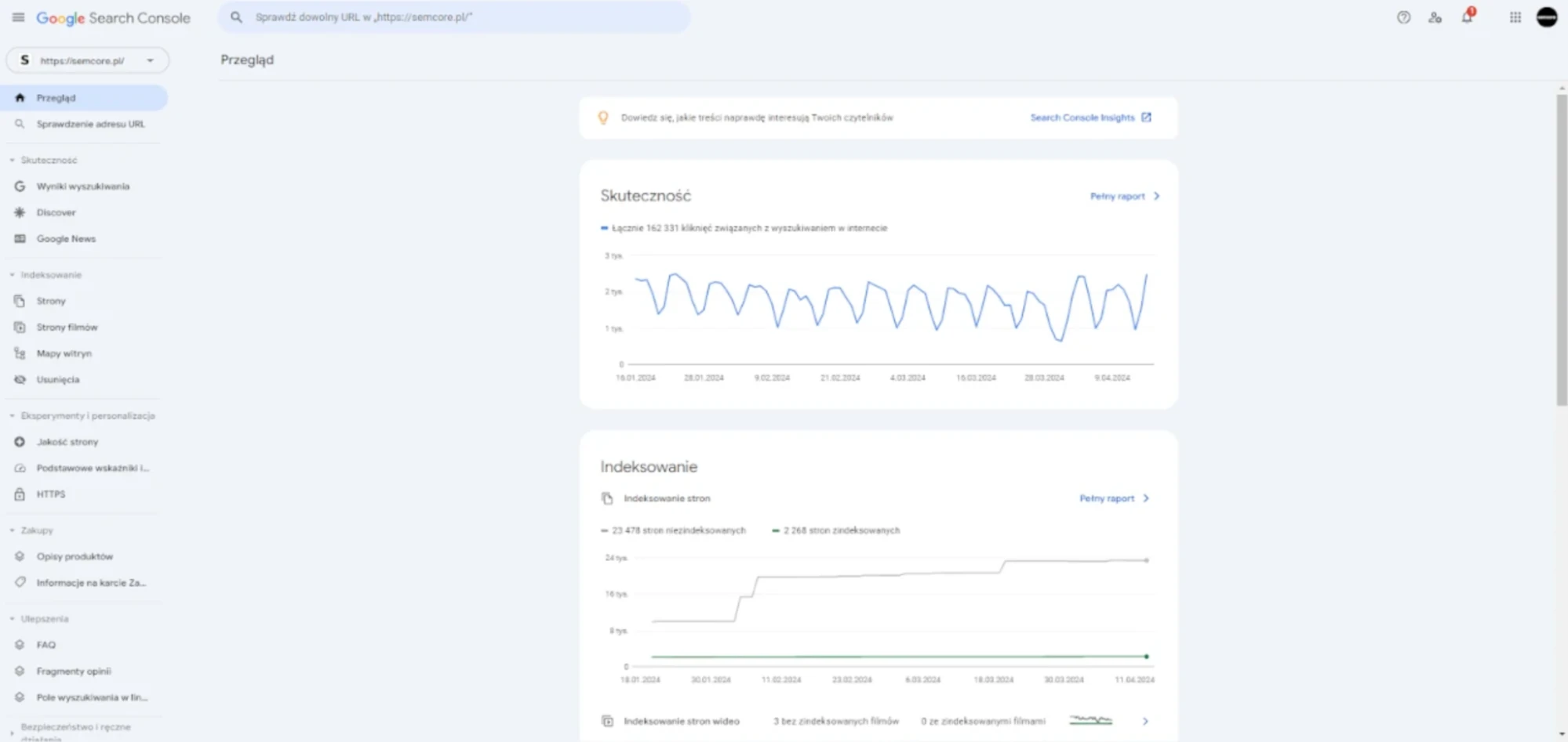 Widok panelu Google Search Console