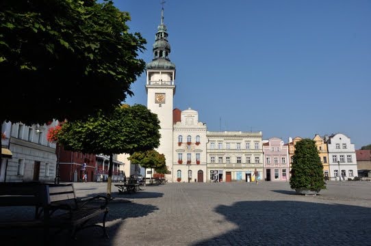 Pozycjonowanie stron Nowa Sól