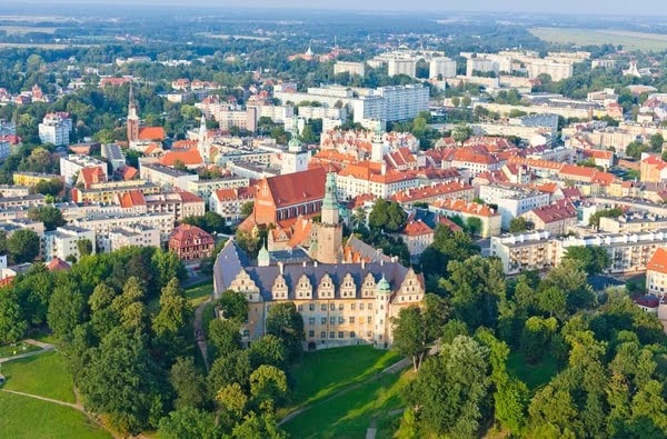 Pozycjonowanie stron Nysa