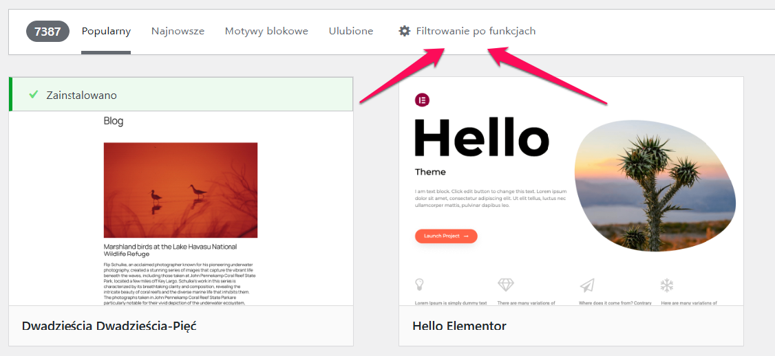 Jak wdrożyć WCAG na stronie WordPress bez znajomości kodu?
