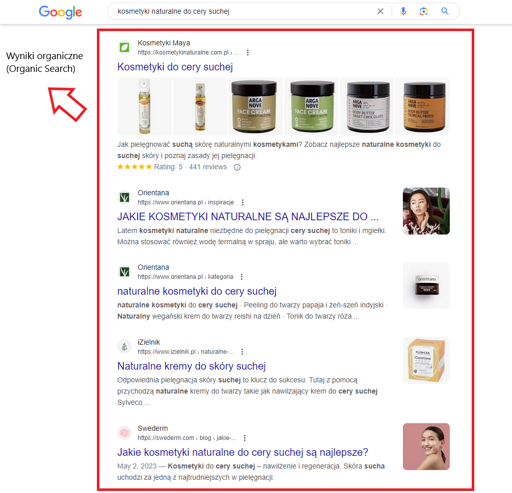 Organic search – jak budować widoczność dzięki SEO?
