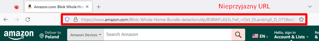 Jak wyglądają przyjazne adresy URL na stronie?