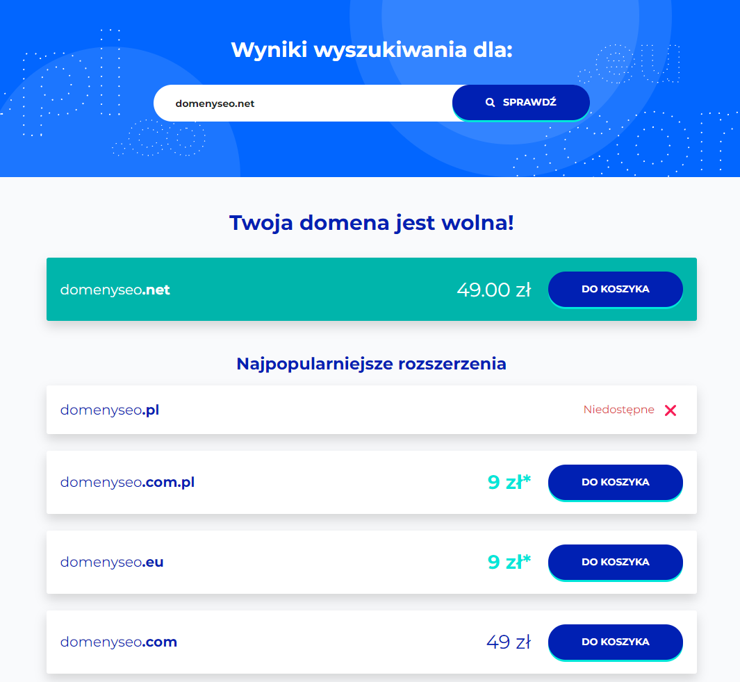 Domeny .net – czy warto z nich korzystać?