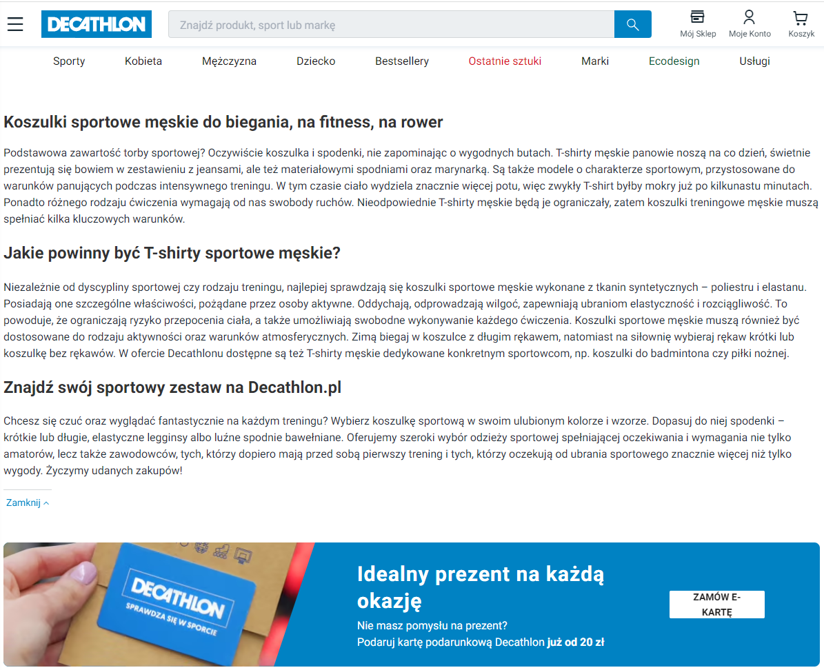 Organic search – jak budować widoczność dzięki SEO?