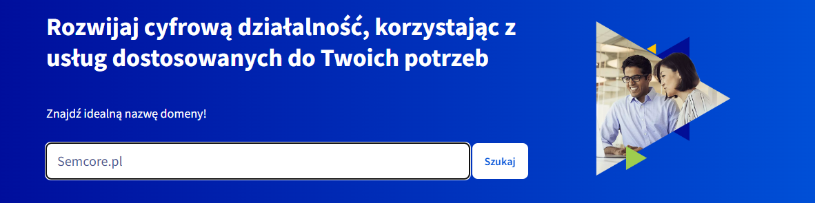 Jak sprawdzić domenę? Poradnik krok po kroku