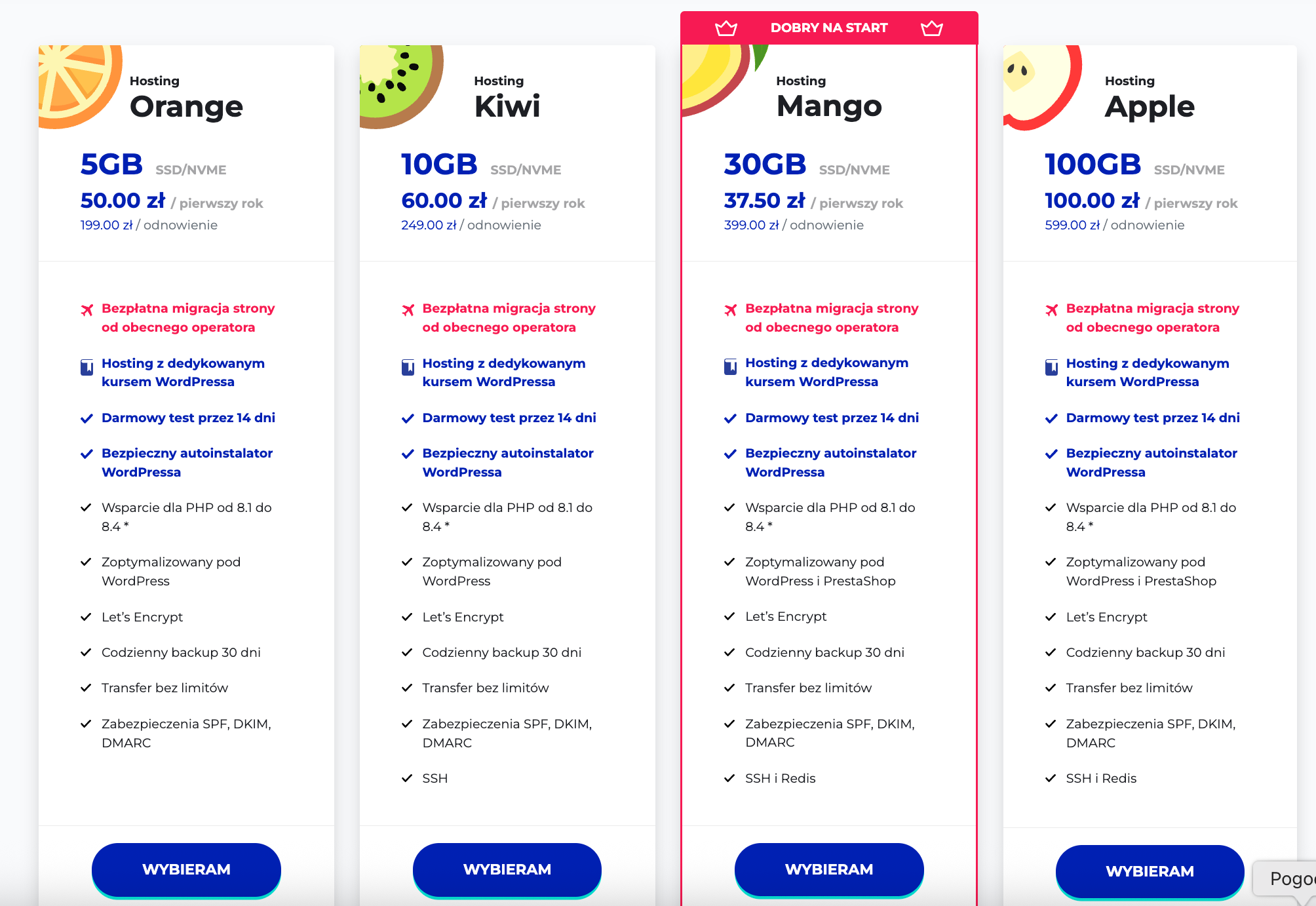 Koszt utrzymania strony internetowej w 2025 roku