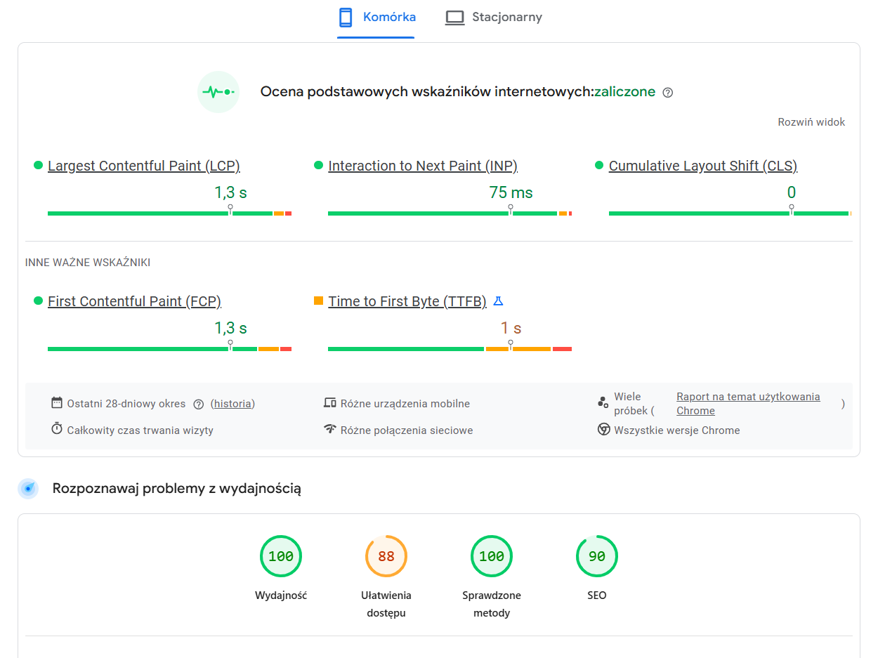 Widok ze strony PageSpeed Insights